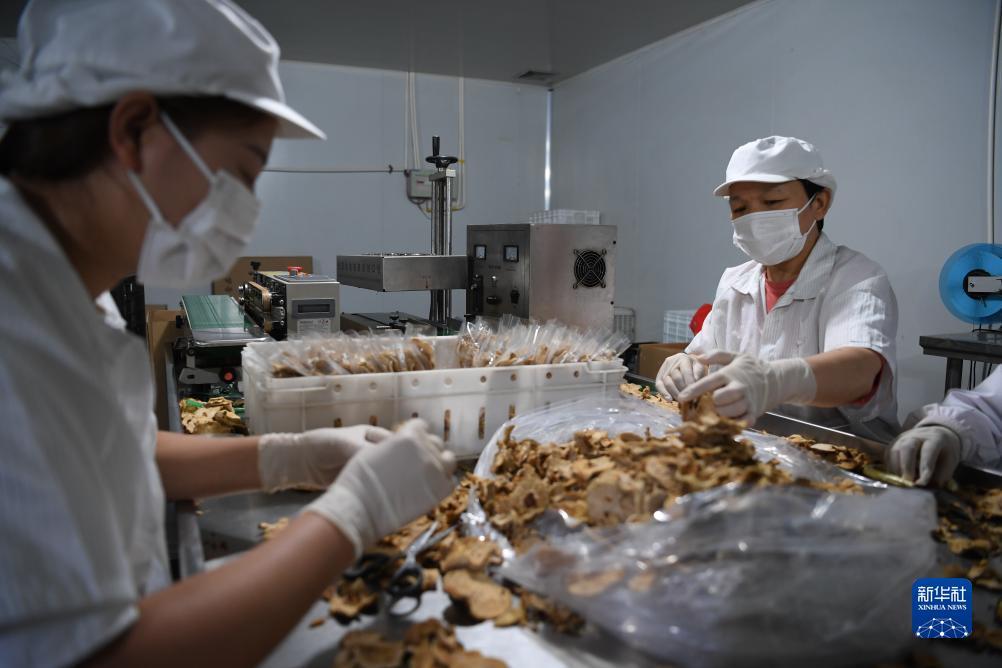 小网站棋牌